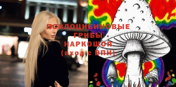 дживик Дмитров