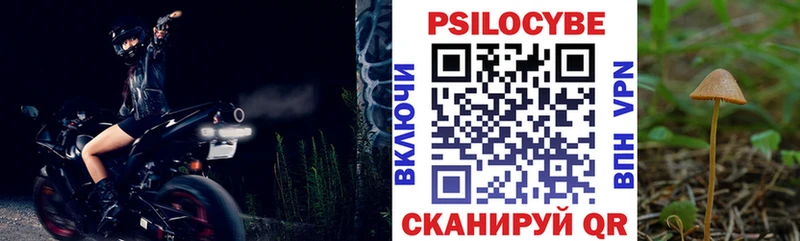 Галлюциногенные грибы Psilocybe  Верхнеуральск 